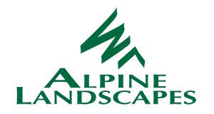Alpine Landscapes