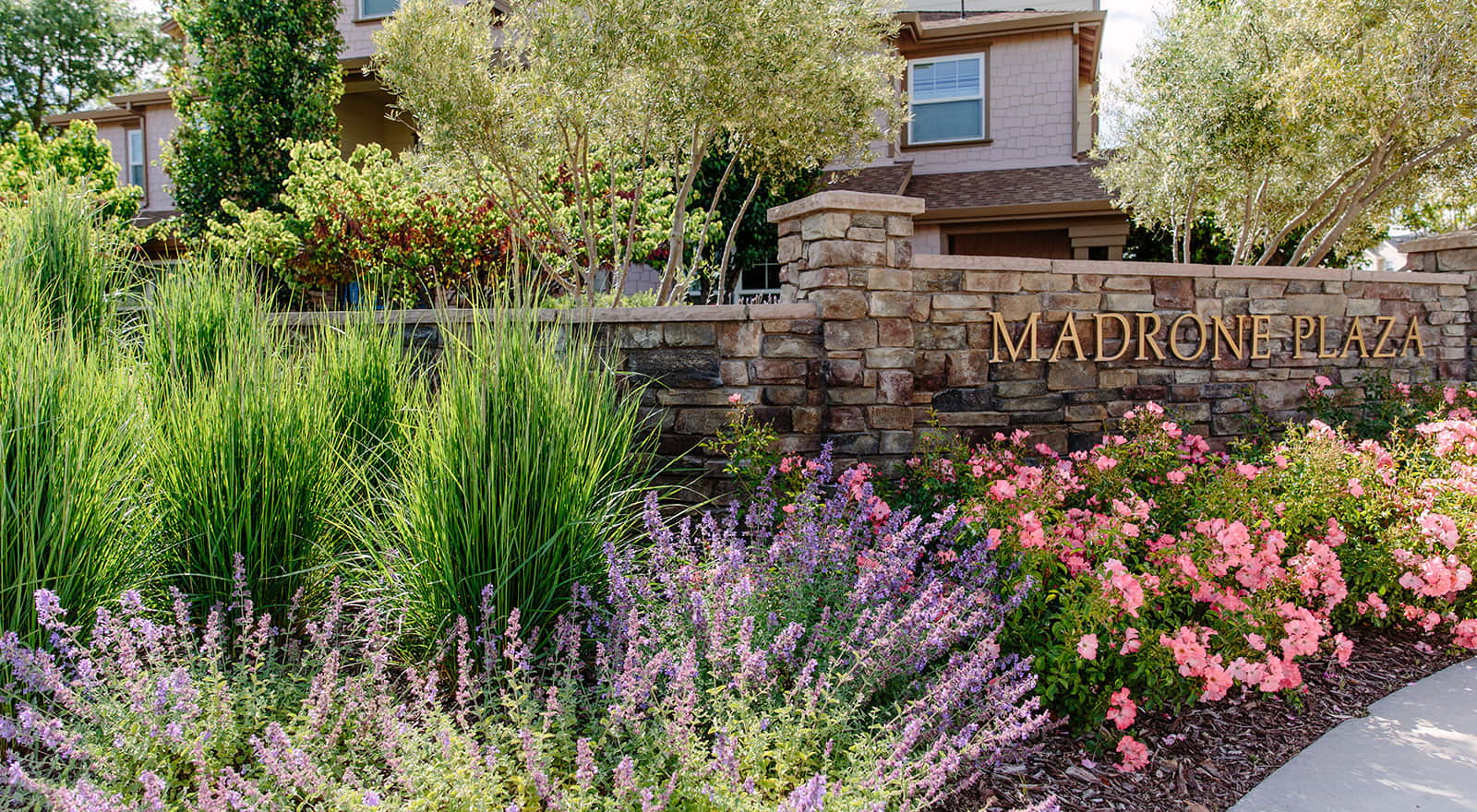 Accurate landscaping and design inc